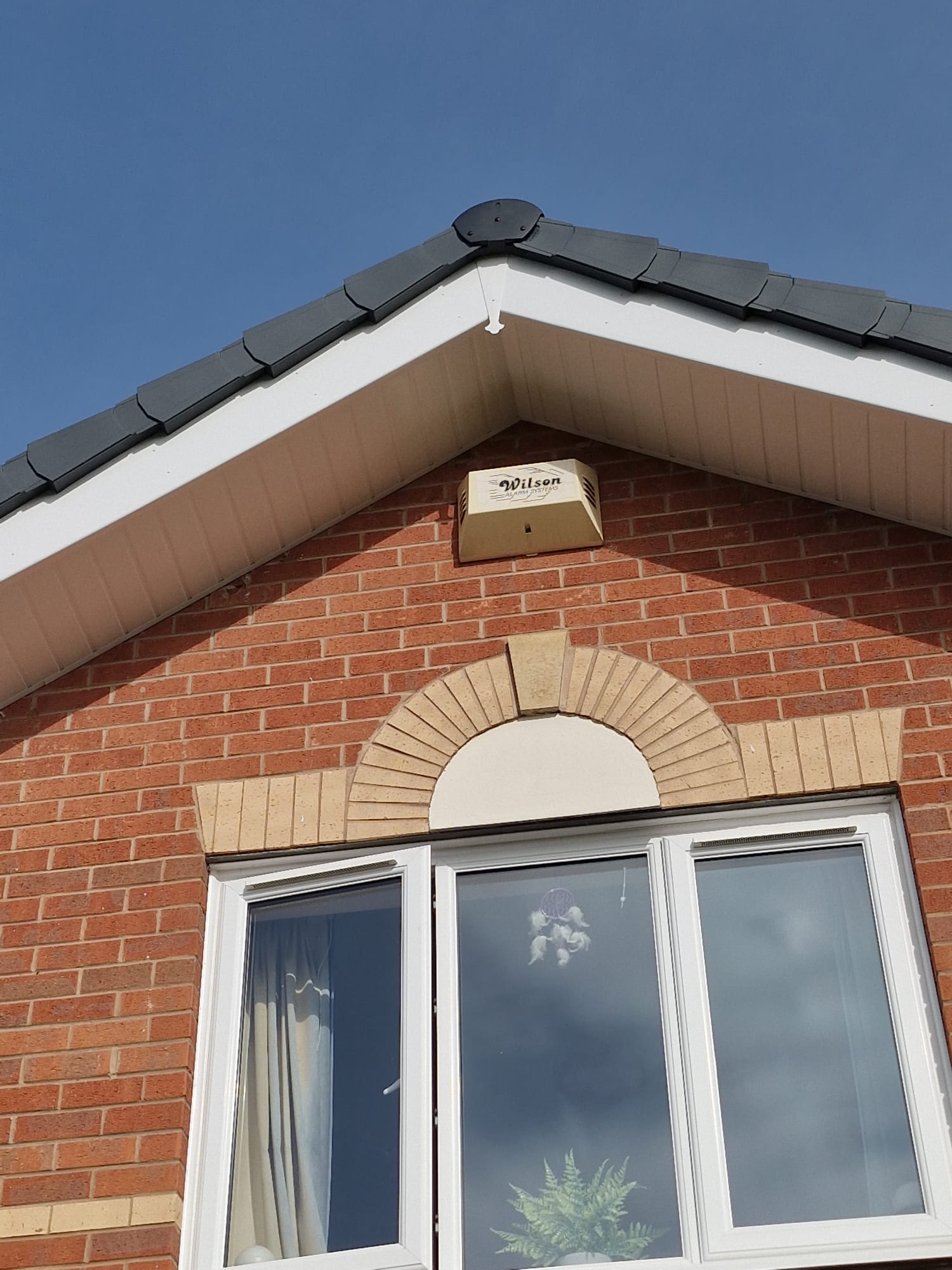 Dry Verge Detail, Leicester Forest East